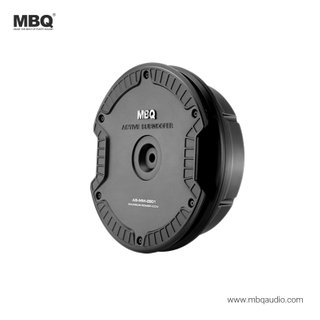 AS-MM-2801Car Audio Dual Woofer Powered Sub Spare Wheel Subwoofer with Amplifier